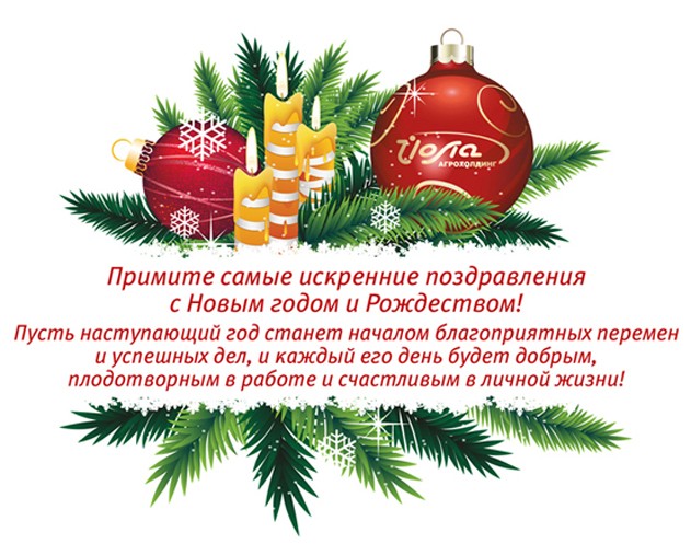 С наступающим Новым Годом!