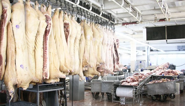 Купить Йошкар Олинскую Колбасу В Саратове